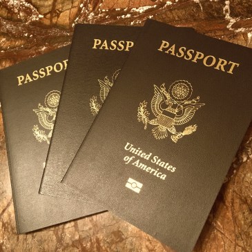 passport covers